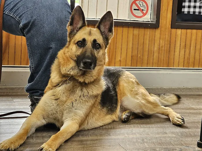 Kem Road Animal Hospital 12