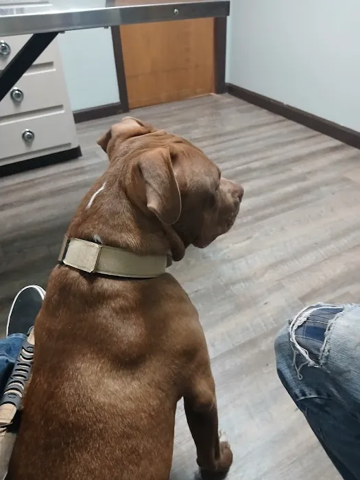 Kem Road Animal Hospital 12