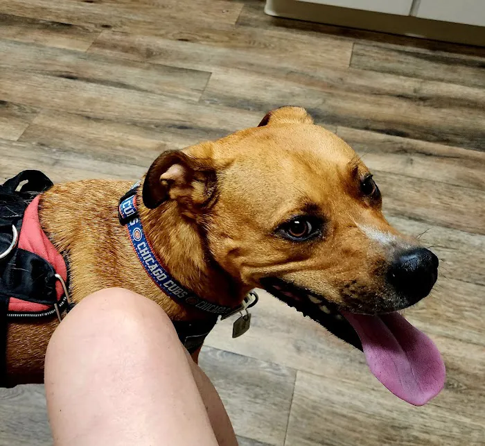 Comfort Veterinary Hospital 12