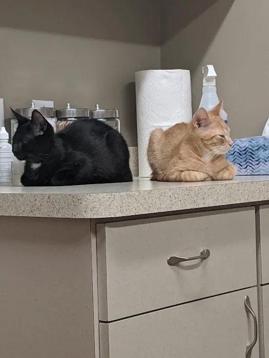 Comfort Veterinary Hospital 12