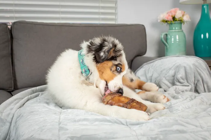 Natural Cravings Pet Treats 12