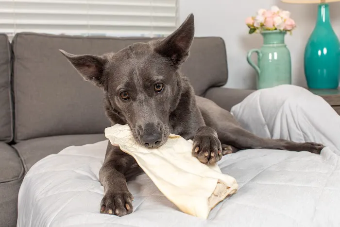 Natural Cravings Pet Treats 12