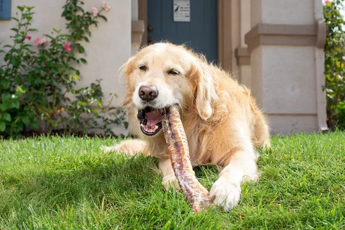Natural Cravings Pet Treats 12