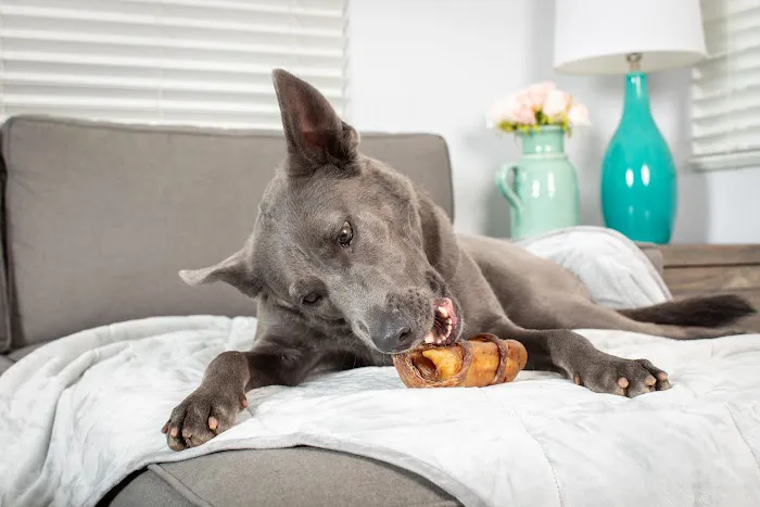 Natural Cravings Pet Treats 12