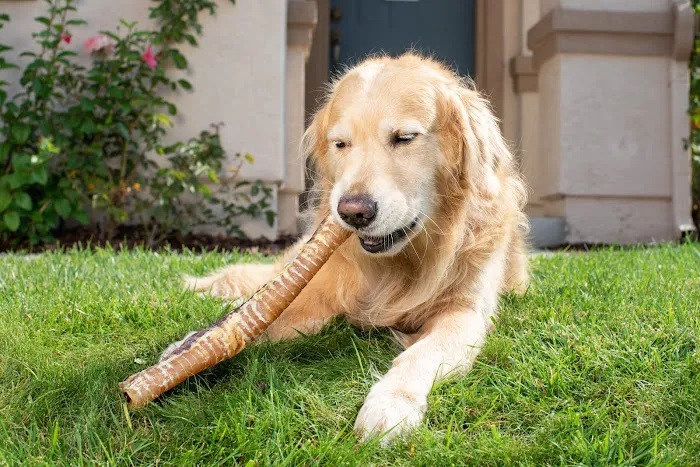 Natural Cravings Pet Treats 12