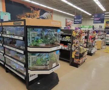 Petco