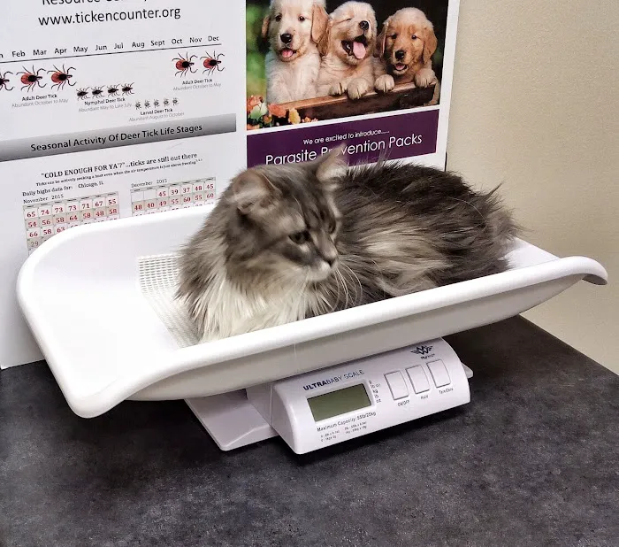 Campton Animal Clinic 12