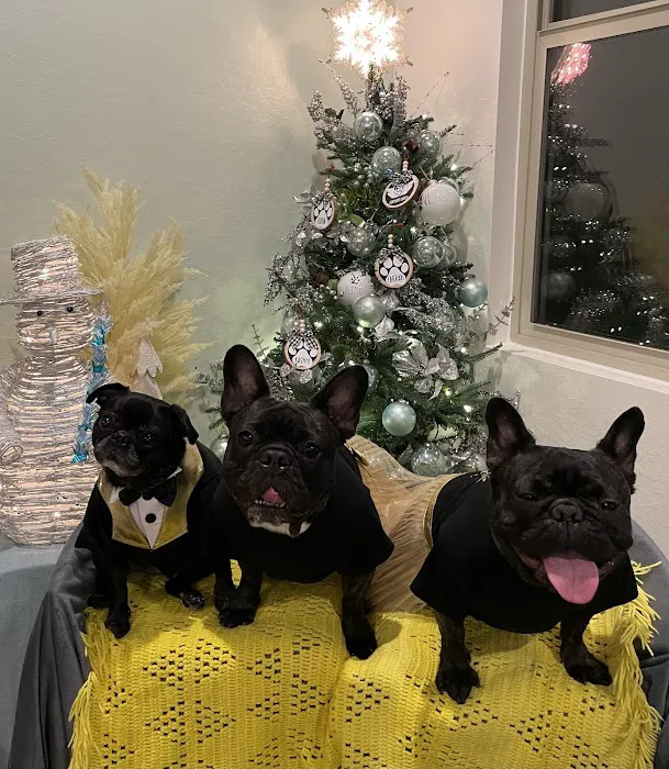 North Star Animal Hospital at Estrella, PLLC 12