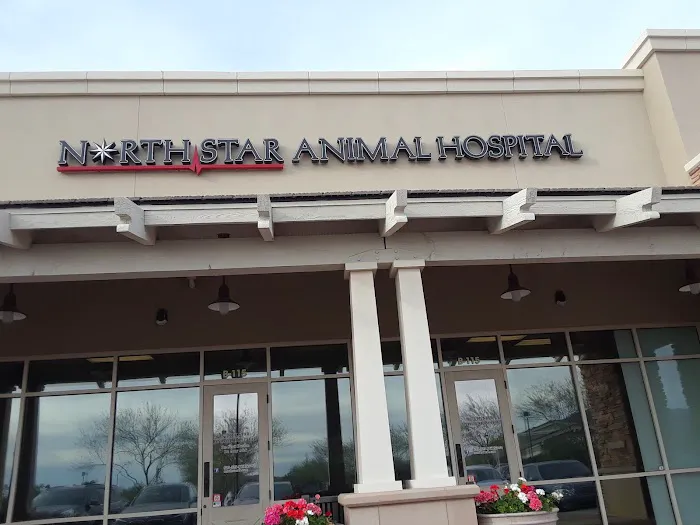 North Star Animal Hospital at Estrella, PLLC 12
