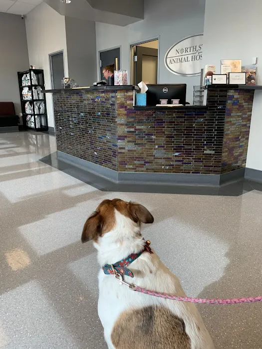 North Star Animal Hospital at Estrella, PLLC 12