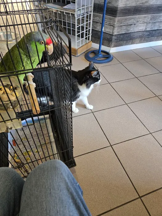 Buckeye Veterinary Services 12