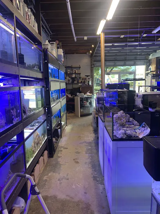 Aquarium shop 12