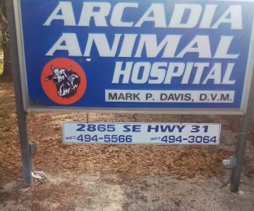 Davis Mark P DVM