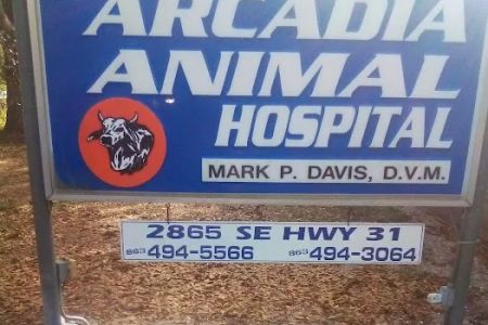 Davis Mark P DVM