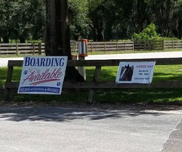 Arcadia Animal Hospital Inc