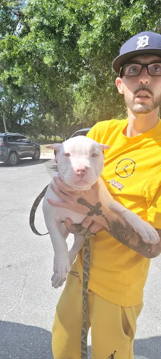 Arcadia Animal Hospital Inc 12