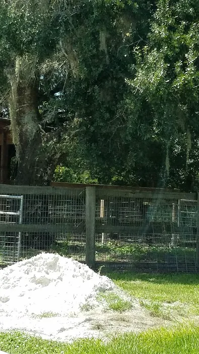 Arcadia Animal Hospital Inc 12