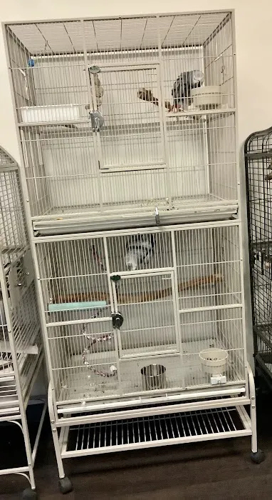 Parrotdise Bird Store & Boarding 12