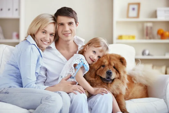 Garner Veterinary Services- Dr. Kelley Garner (JACARANDA ANIMAL HOSPITAL) 12