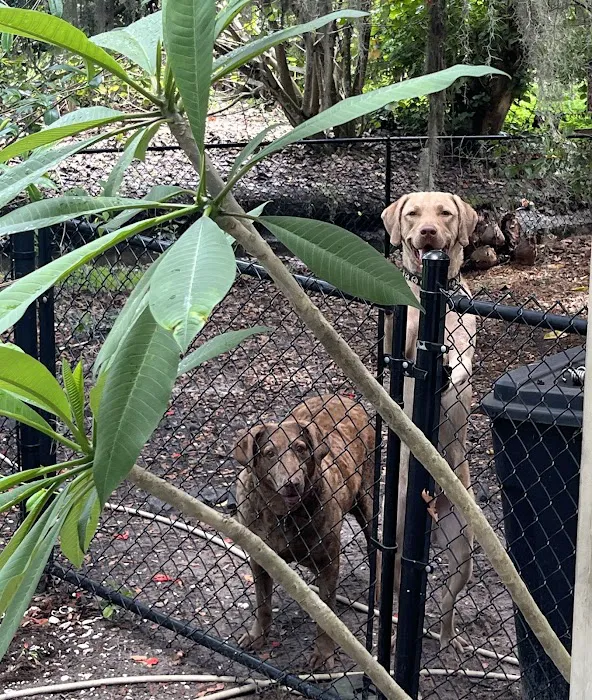 Garner Veterinary Services- Dr. Kelley Garner (JACARANDA ANIMAL HOSPITAL) 12