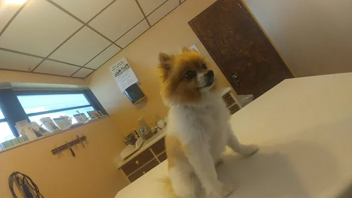 Ark Animal Hospital & Clinic (CALM VETERINARY PRACTICE) 12