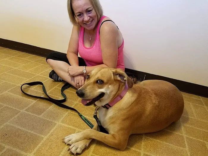 Ark Animal Hospital & Clinic (CALM VETERINARY PRACTICE) 12