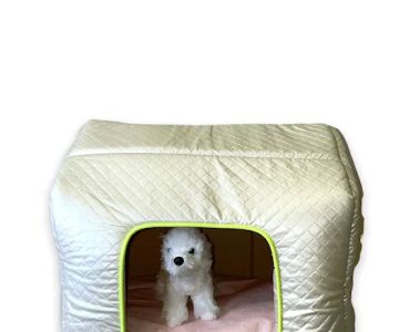 Joni Pet Store