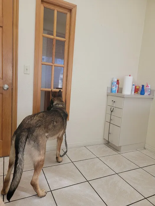 Veterinary Associates Of Jacaranda 12