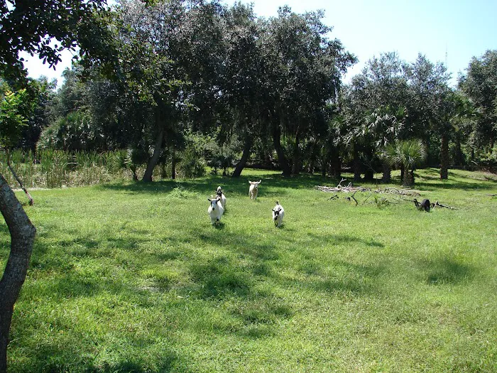 Myakka River Animal Clinic 3