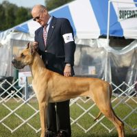Myakka River Animal Clinic ico