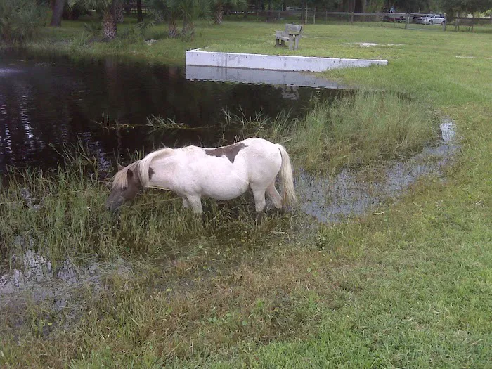 Myakka River Animal Clinic 9