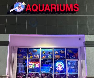 Neptunes Aquarium Store