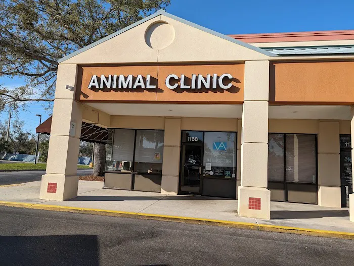 Animal Clinic 12