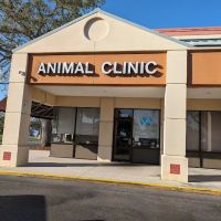 Animal Clinic ico