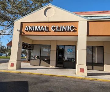 Animal Clinic