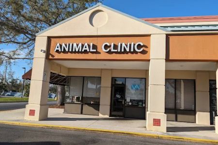 Animal Clinic