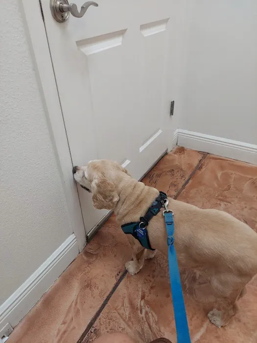 Venice Pines Veterinary Clinic 12
