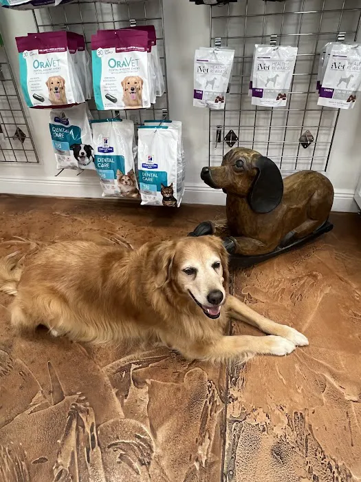 Venice Pines Veterinary Clinic 12