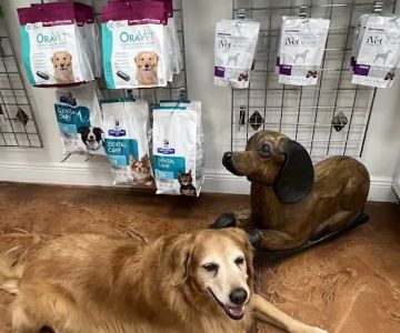 Venice Pines Veterinary Clinic