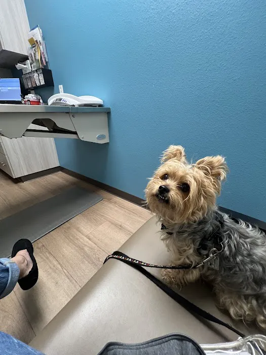 Bright Cross Animal Clinic 12