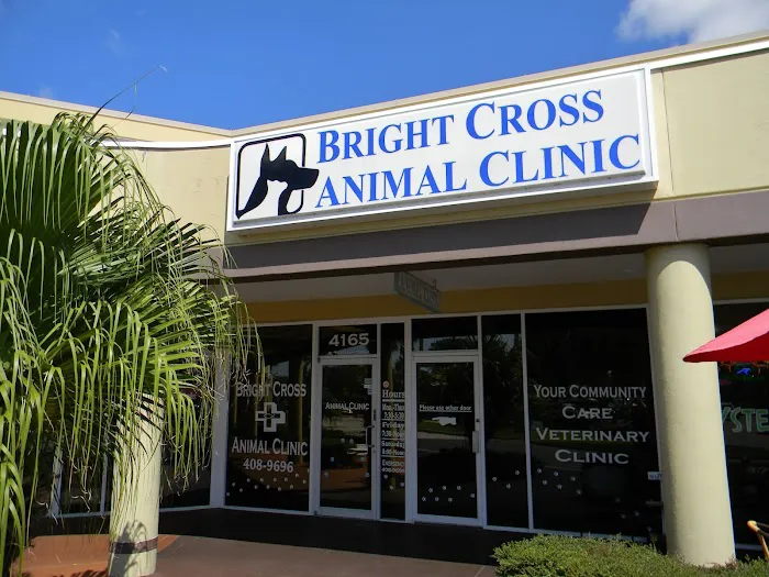 Bright Cross Animal Clinic 12