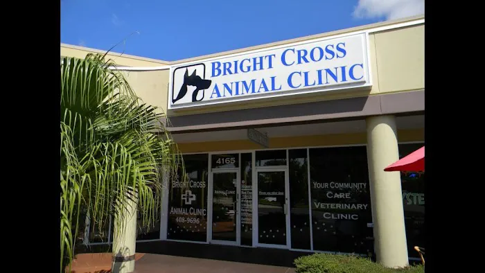 Bright Cross Animal Clinic 12