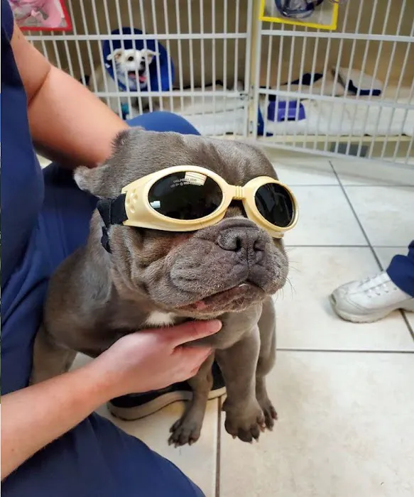 Bright Cross Animal Clinic 12