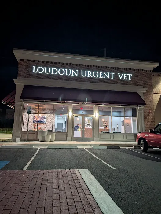 Loudoun Urgent Vet 2