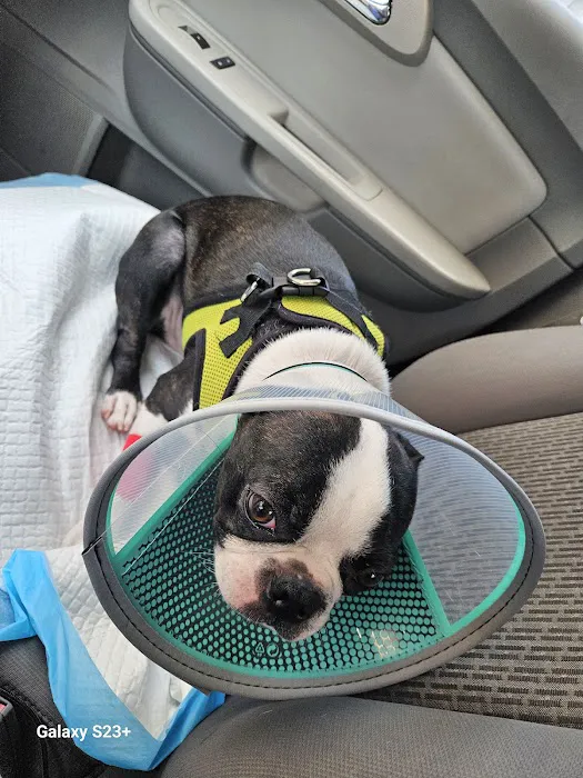 Loudoun Urgent Vet 7