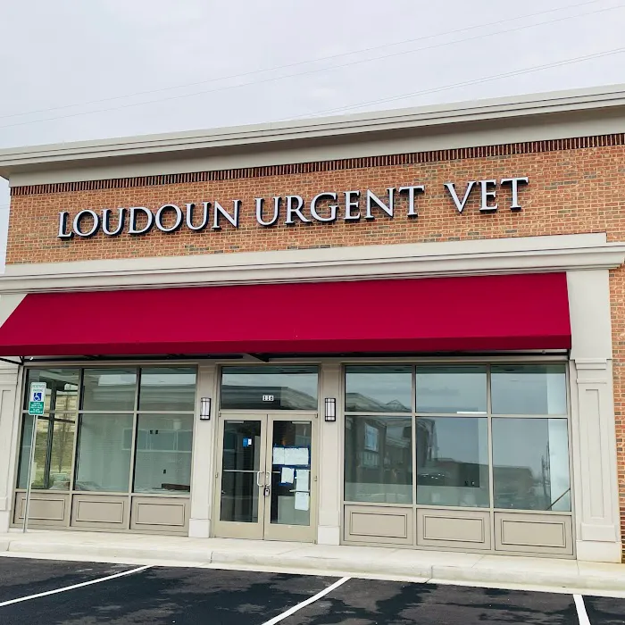 Loudoun Urgent Vet 10
