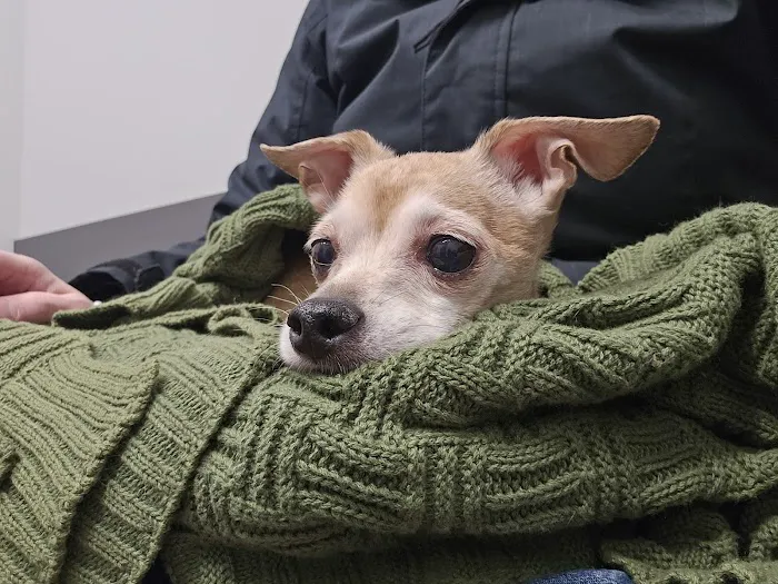 Loudoun Urgent Vet 3