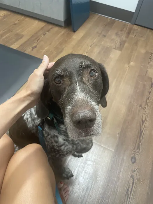 Loudoun Urgent Vet 8