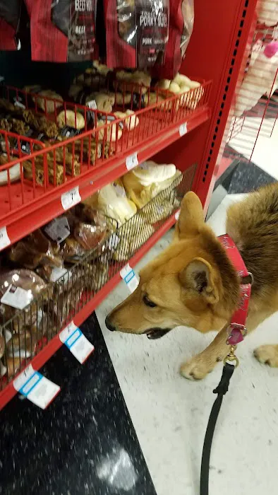 Petco 2