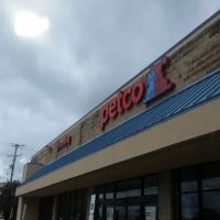Petco ico